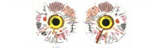 iridologie Paris brunoy Johanna Dermi