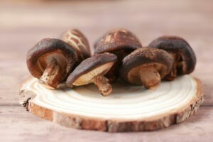 Les bienfaits des champignons adaptogènes reishi