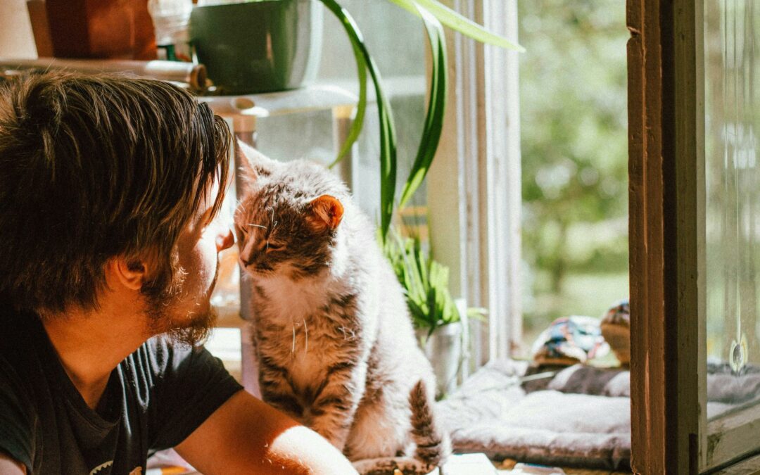 Les hypersensibles et les animaux : une connexion thérapeutique naturelle